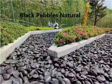 Ċagħaq tal-Ġnien Naturali