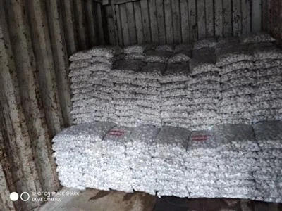 Abjad   Ċagħaq   Bulk